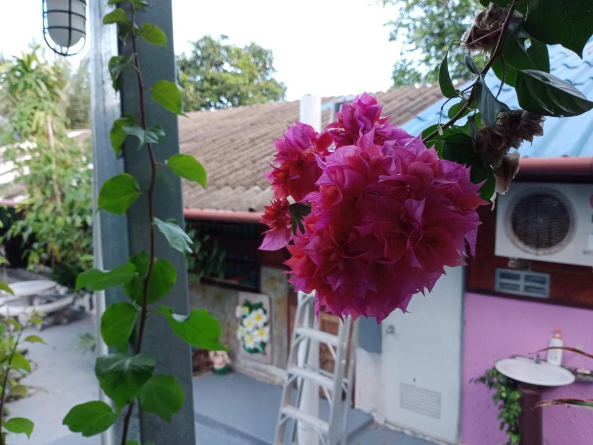 Comon Bungalow Haadchaophao Haad Chao Phao Zewnętrze zdjęcie